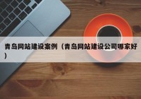 青岛网站建设案例（青岛网站建设公司哪家好）