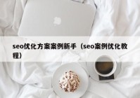 seo优化方案案例新手（seo案例优化教程）