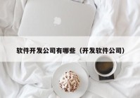 软件开发公司有哪些（开发软件公司）