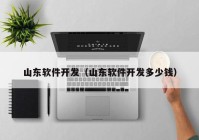 山东软件开发（山东软件开发多少钱）
