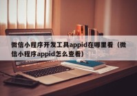 微信小程序开发工具appid在哪里看（微信小程序appid怎么查看）