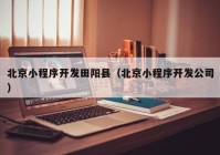 北京小程序开发田阳县（北京小程序开发公司）