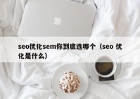 seo优化sem你到底选哪个（seo 优化是什么）