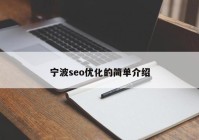 宁波seo优化的简单介绍