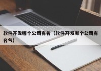 软件开发哪个公司有名（软件开发哪个公司有名气）