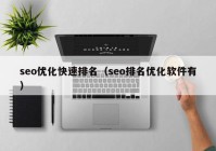 seo优化快速排名（seo排名优化软件有）